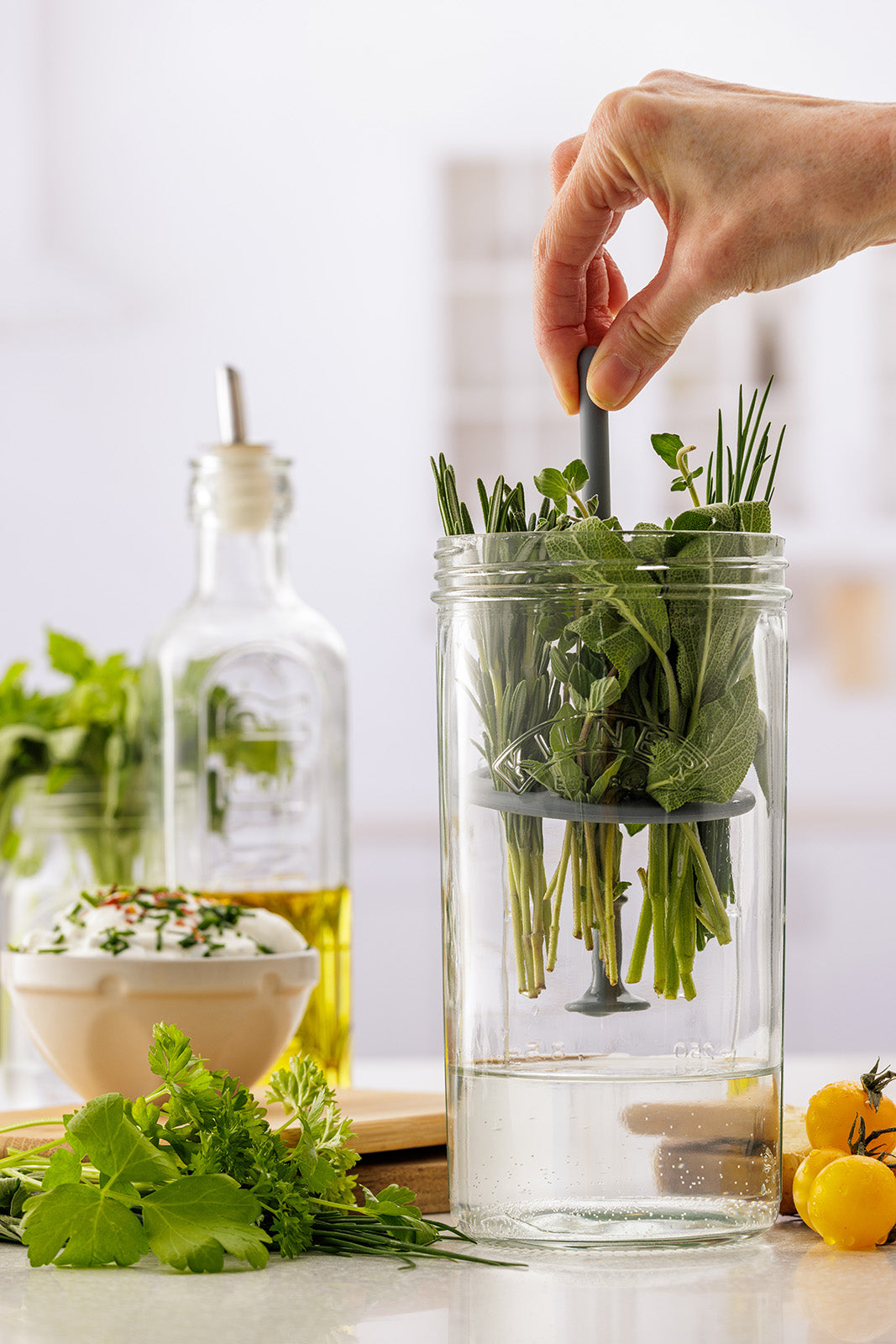 Kilner Fresh Herb Keeper, Glass Herb Storage Jar for Fridge