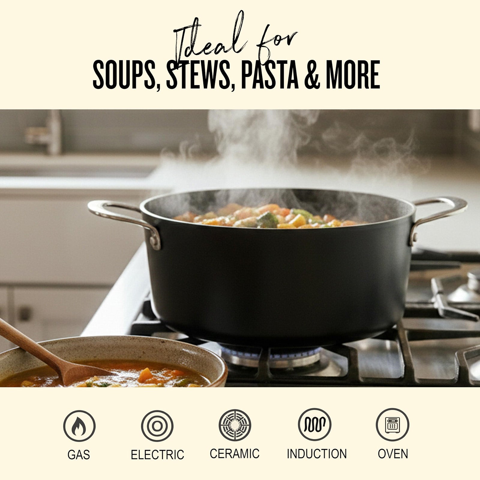 Alva Mastero 4.5-Quart Nonstick Stockpot with Lid, 9.5-Inch
