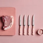 Wusthof Classic 4.5-Inch Steak Knife, Pink Sea Salt