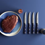 Wusthof Classic 4.5-Inch Steak Knife, Wild Blueberry