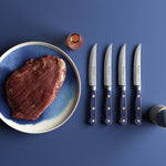 Wusthof Classic 4 Piece Steak Knife Set, Wild Blueberry