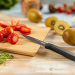 Kuhn Rikon ICED Paring Knife 3.5-Inch, Ice Hardened German Stainless Blade
