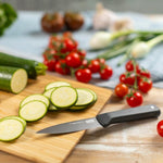 Kuhn Rikon ICED Serrated Paring Knife 3.5-Inch, Ice Hardened German Stainless Blade