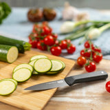 Kuhn Rikon ICED Serrated Paring Knife 3.5-Inch, Ice Hardened German Stainless Blade