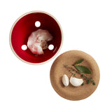 Emile Henry Made in France Garlic Pot, Burgundy