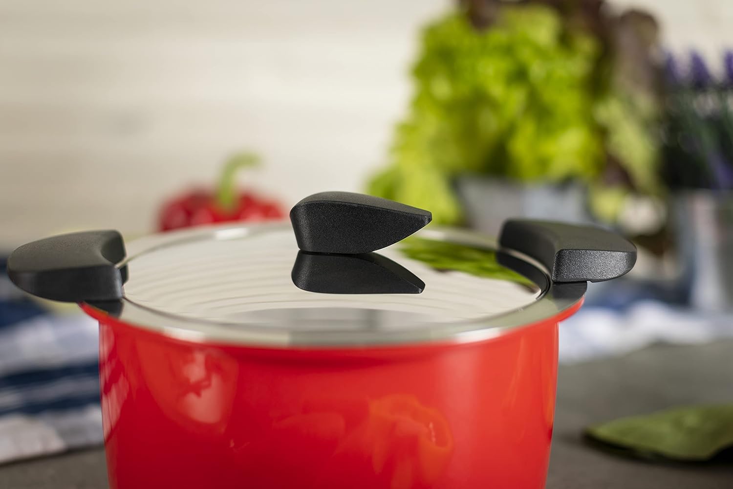 Kuhn Rikon Hotpan Stainless Steel Cooking Pot with Insulated Bowl, 2.1-Quart, Red