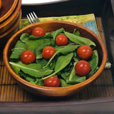 Frieling Rubberwood Conical Bowl, Small 2.5-Inch x 7-Inch Diameter