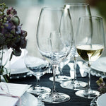 Riedel Vinum Pinot Noir 2 Piece Wine Glass Set with Polishing Cloth