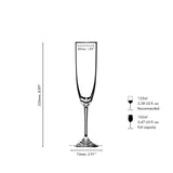 Riedel Vinum Champagne Flute 2 Piece Glass Set with Polishing Cloth