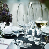Riedel Vinum Sauvignon Blanc 2 Piece Wine Glass Set with Polishing Cloth