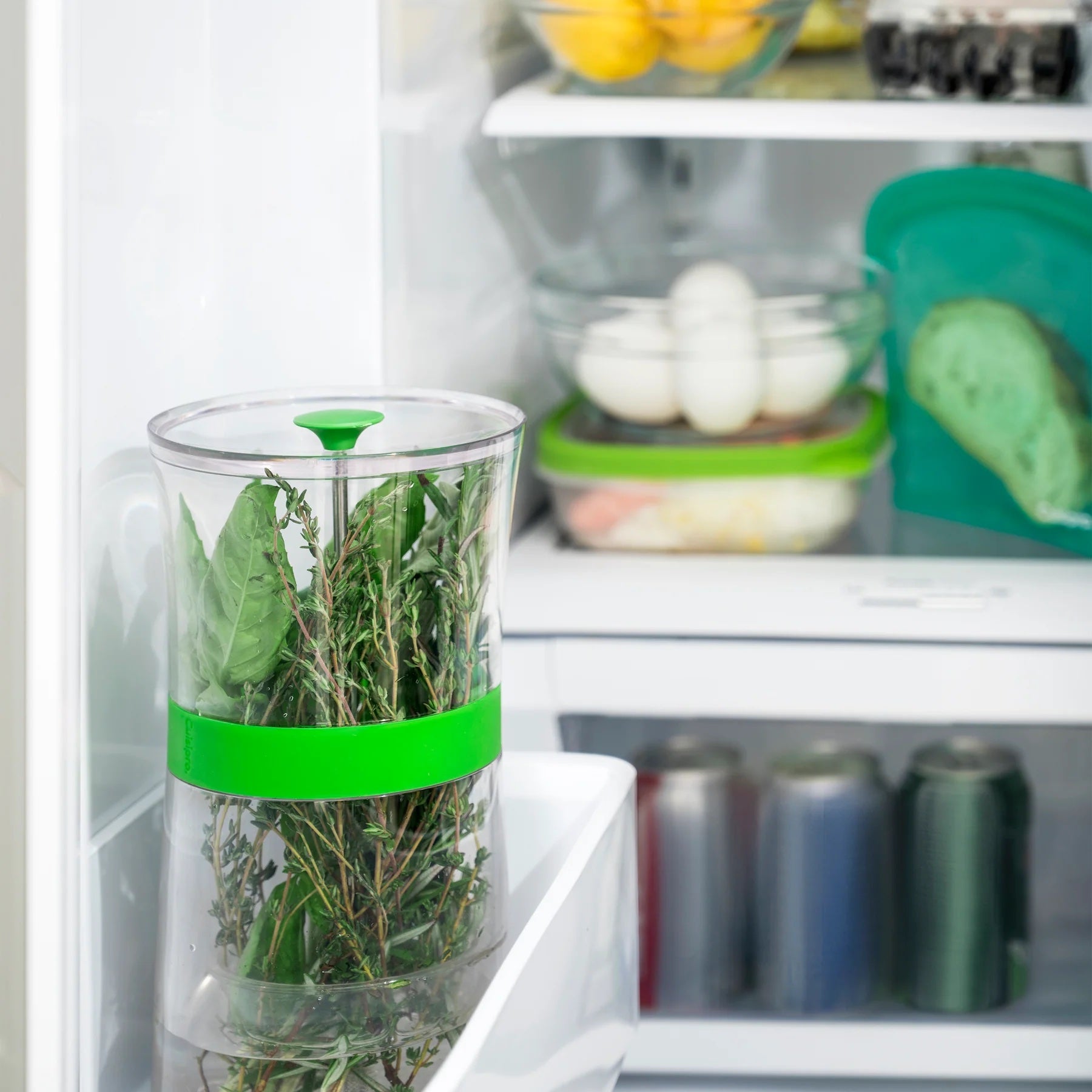 Cuisipro Original Herb Keeper Keeps Herbs Fresh Storage Container