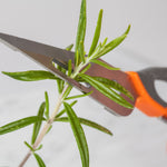 Mobi Super Scissors Multi-Purpose Kitchen and Craft Shears with Storage Sheath
