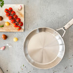 BRA Cookware Signature Stainless Steel Professional Frypan, 10.2-Inch