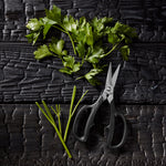 Shun Herb Shears