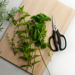 Shun Herb Shears