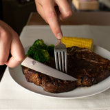 Shun Classic 4 Piece Steak Knife Set DMS400