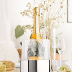 Final Touch Stainless Steel Ice Bottle Chiller