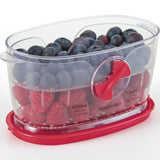 Progressive Berry Keeper – Produce Saver Container with Adjustable Vent, Colander Tray & Lid for Strawberries, Blueberries & More