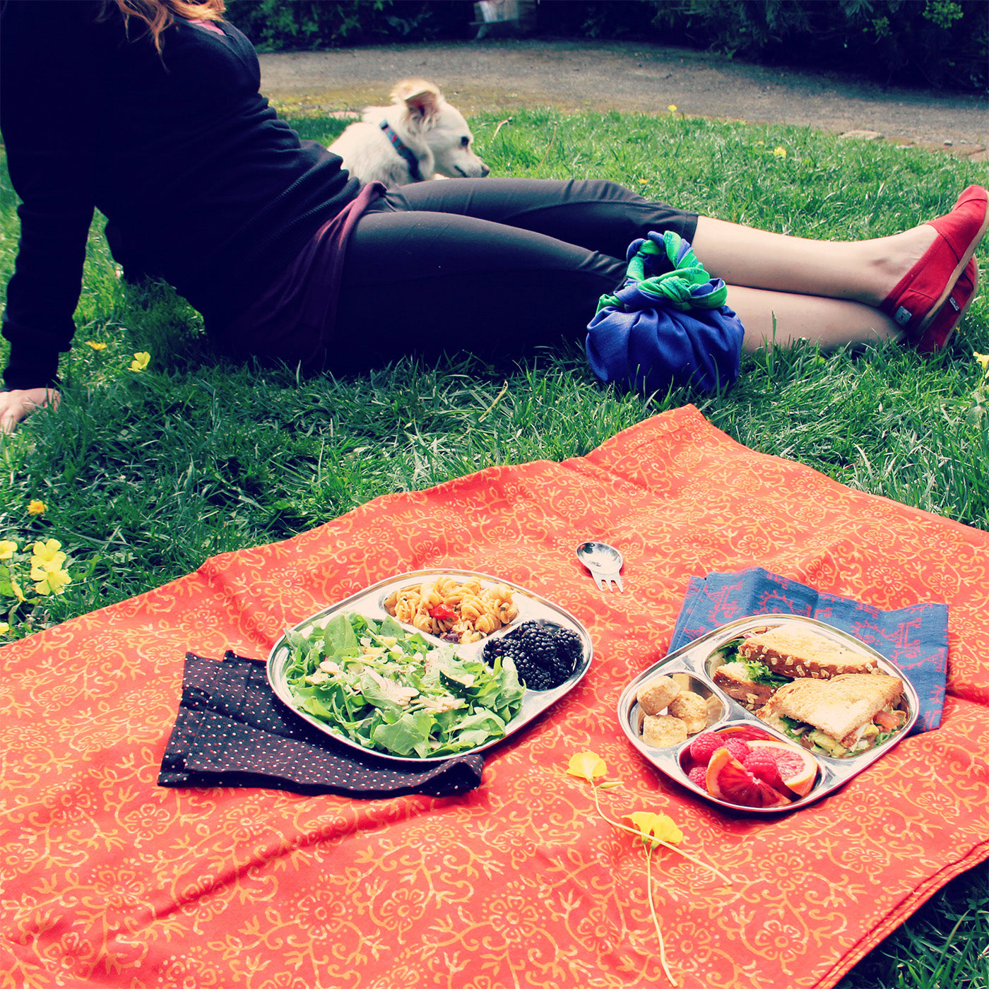 ECOlunchbox Stainless Steel Divided Camping Tray