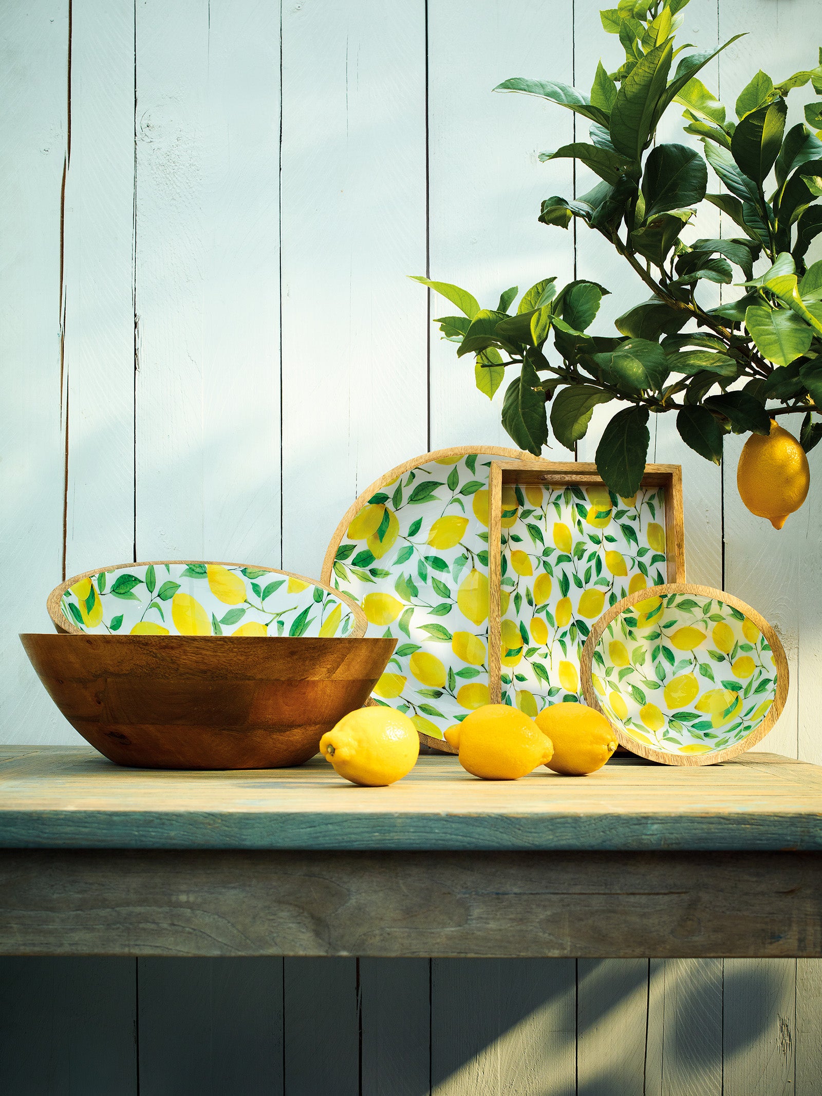 Zassenhaus Mango Wood Lacquered Small Serving Bowl, 8" x 3", Lemon