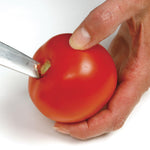 Norpro 2.25 Quart Jumbo Tomato Press