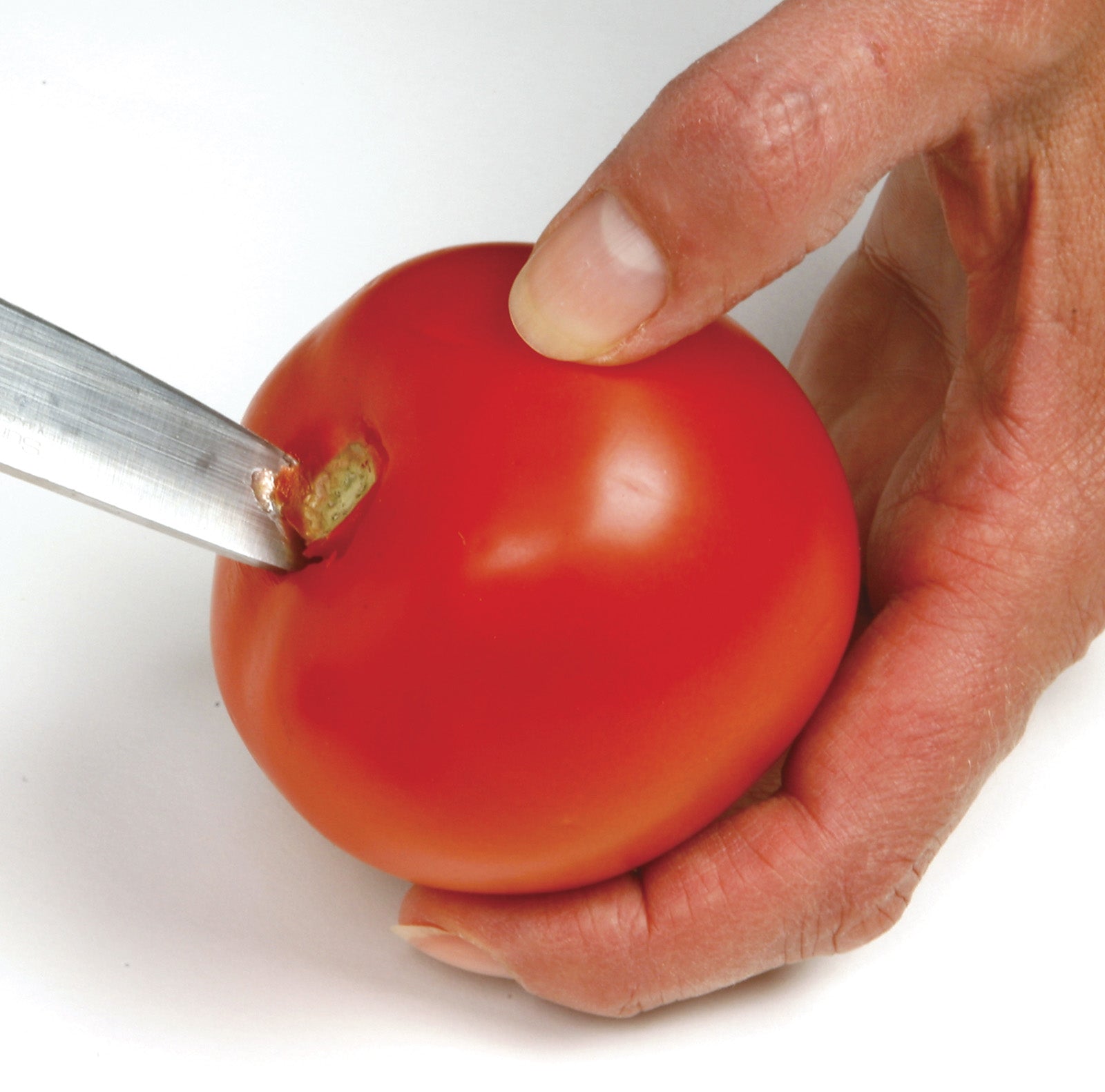 Norpro 2.25 Quart Jumbo Tomato Press