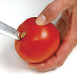 Norpro 2.25 Quart Jumbo Tomato Press
