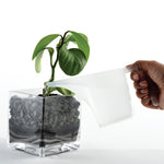 Norpro Funnel Pitcher, 2 Cup, White