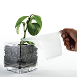 Norpro Funnel Pitcher, 2 Cup, White