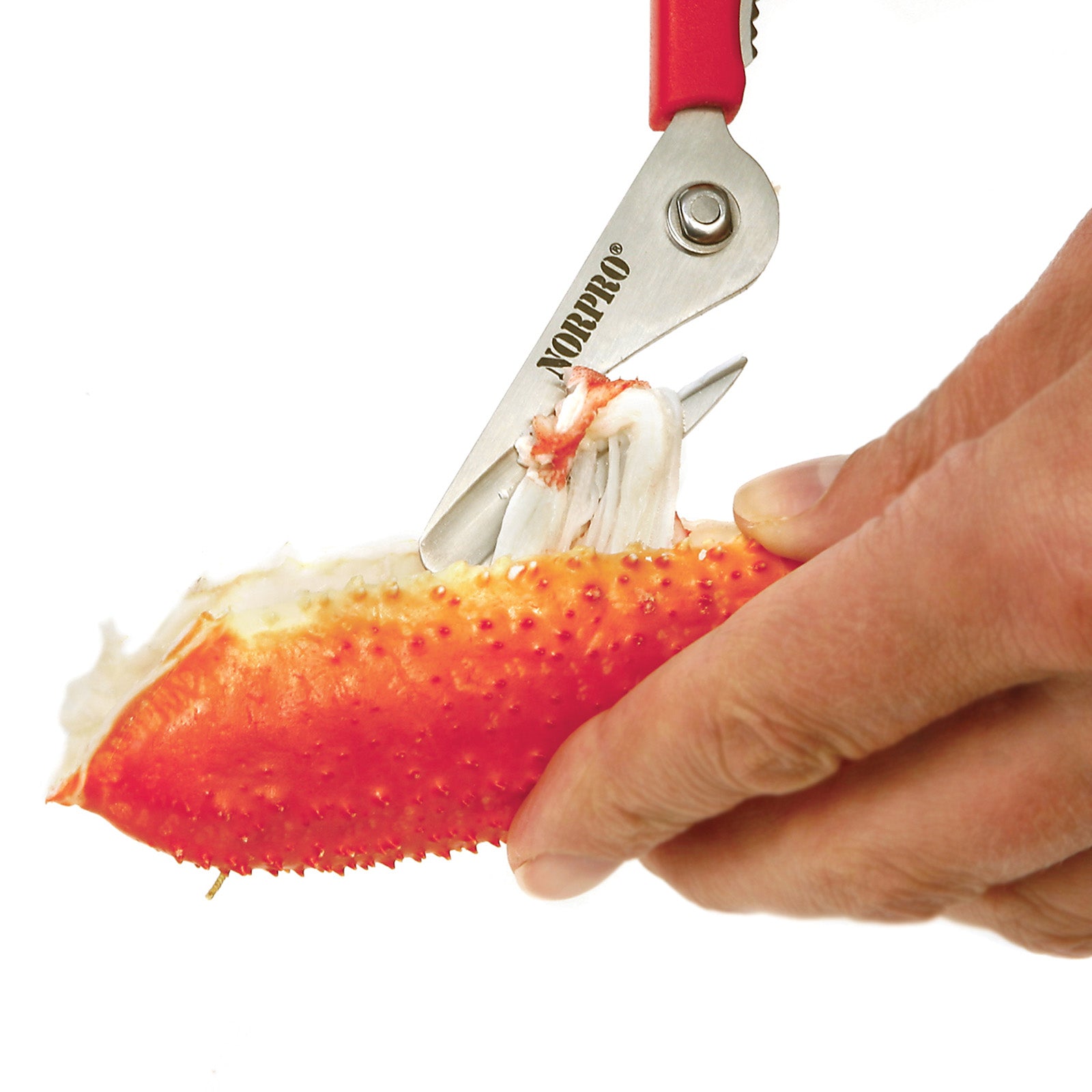 Norpro Ultimate Seafood Shears, 7.5-Inch