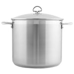 Chantal Induction 21 Steel 12 qt. Stock Pot w/ Glass Lid