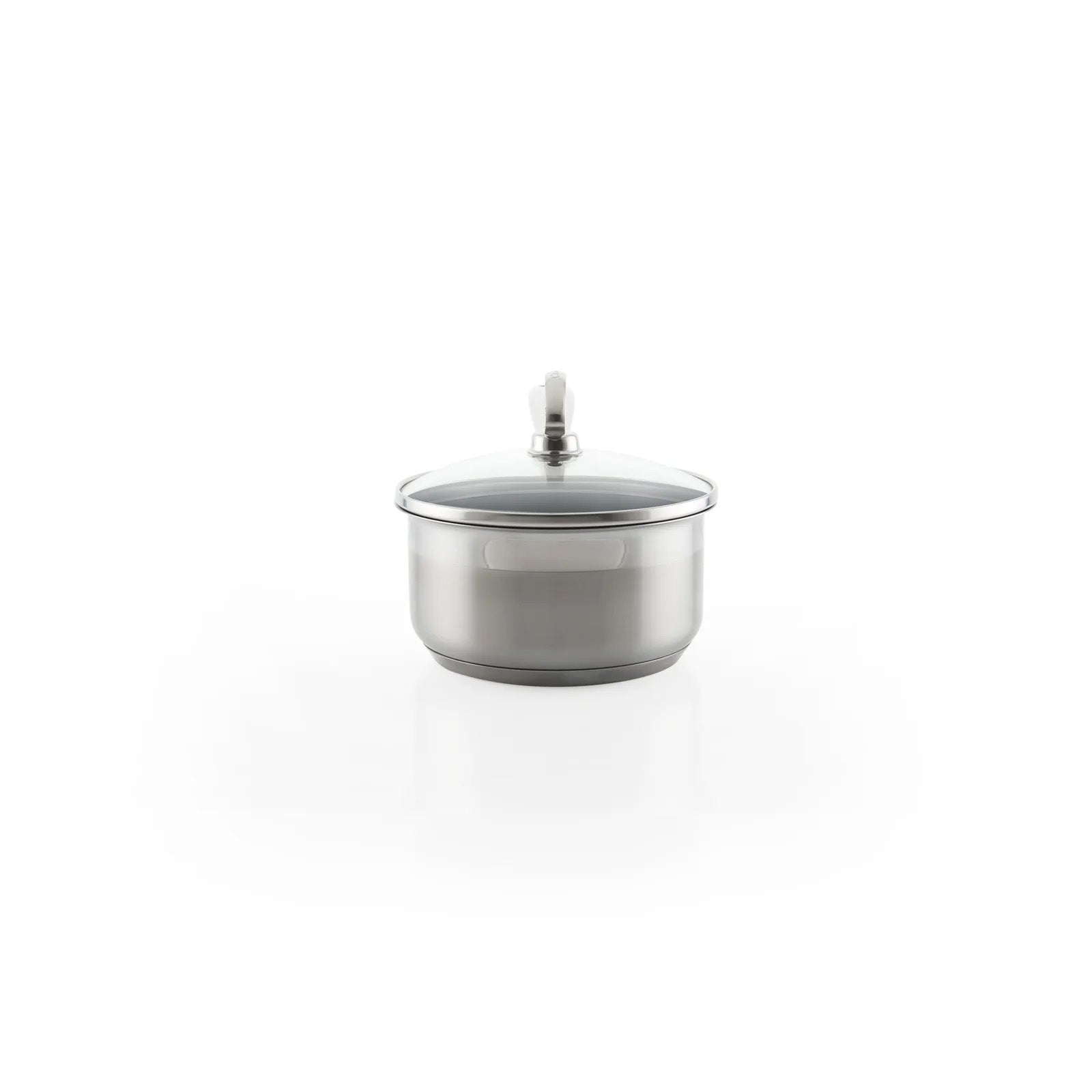 Chantal Induction 21 Steel 1 qt. Saucepan w/ Ceramic Coating and Glass Lid