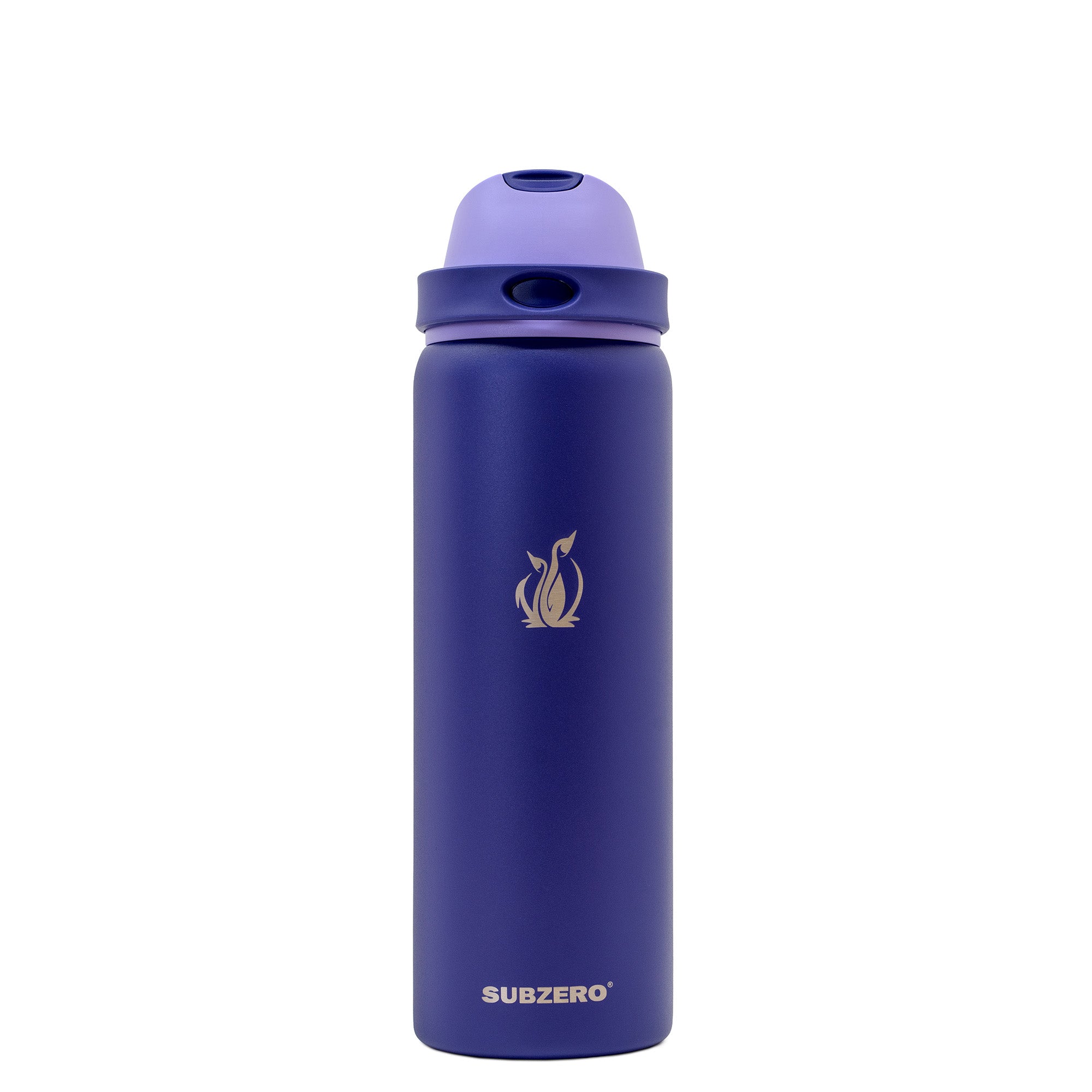 SUBZERO® DUO 32 Ounce Imperial Water Bottle with Straw and Flip Up Handle, Copper Lined Stainless Steel, Leak Proof