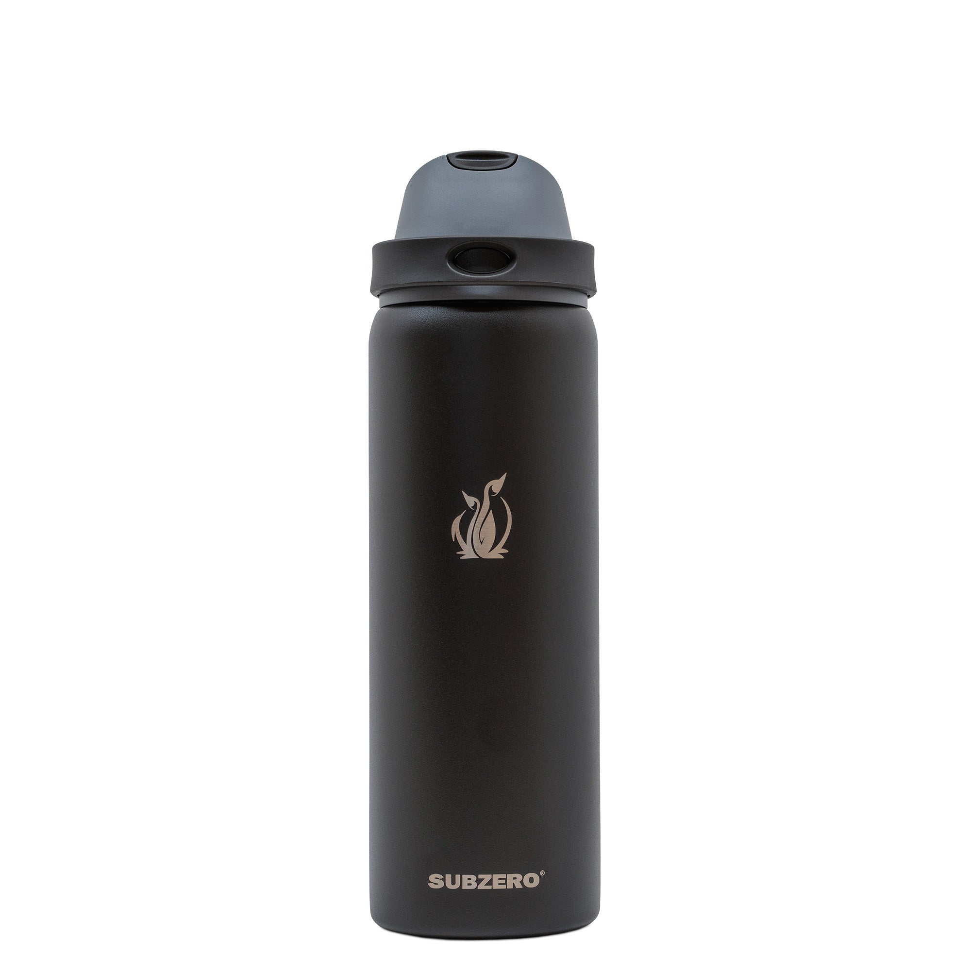 SUBZERO® DUO 32 Ounce Caviar Water Bottle with Straw and Flip Up Handle, Copper Lined Stainless Steel, Leak Proof