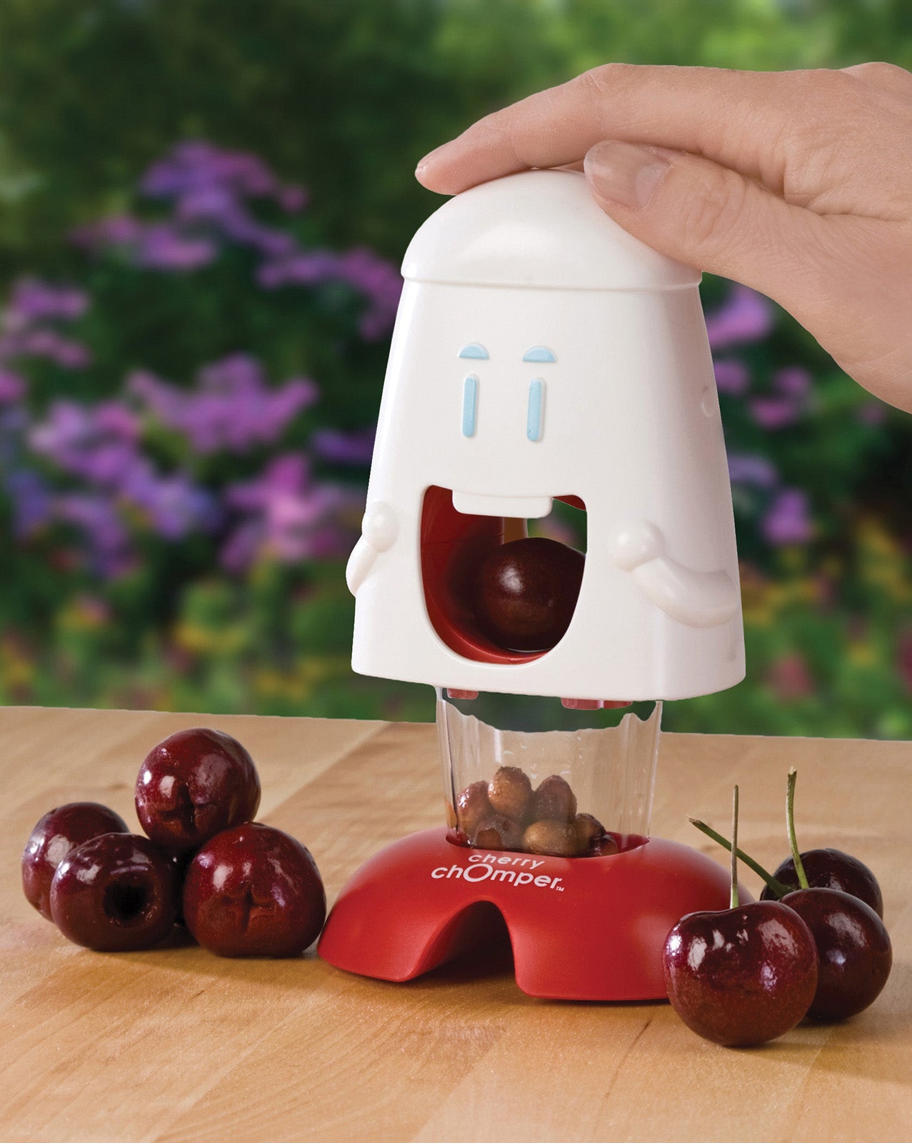 Talisman Designs Cherry Chomper Cherry Pitter, Set of 1, White