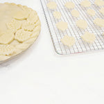 Talisman Designs Plunger Style Pie Crust Cutters, Fall Design, 4-Piece Set