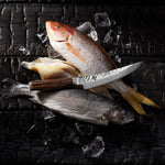 Shun Premier 6-Inch Boning/Fillet Knife