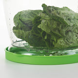 Progressive Lettuce Keeper