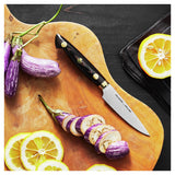 Kramer by Zwilling Euroline Carbon Collection 3.5-Inch Paring Knife