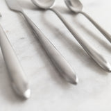 Fortessa Velo Brushed Flatware Set