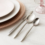 Fortessa Velo Brushed Flatware Set