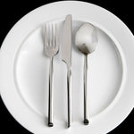 Fortessa Capri Stainless Steel Flatware Set