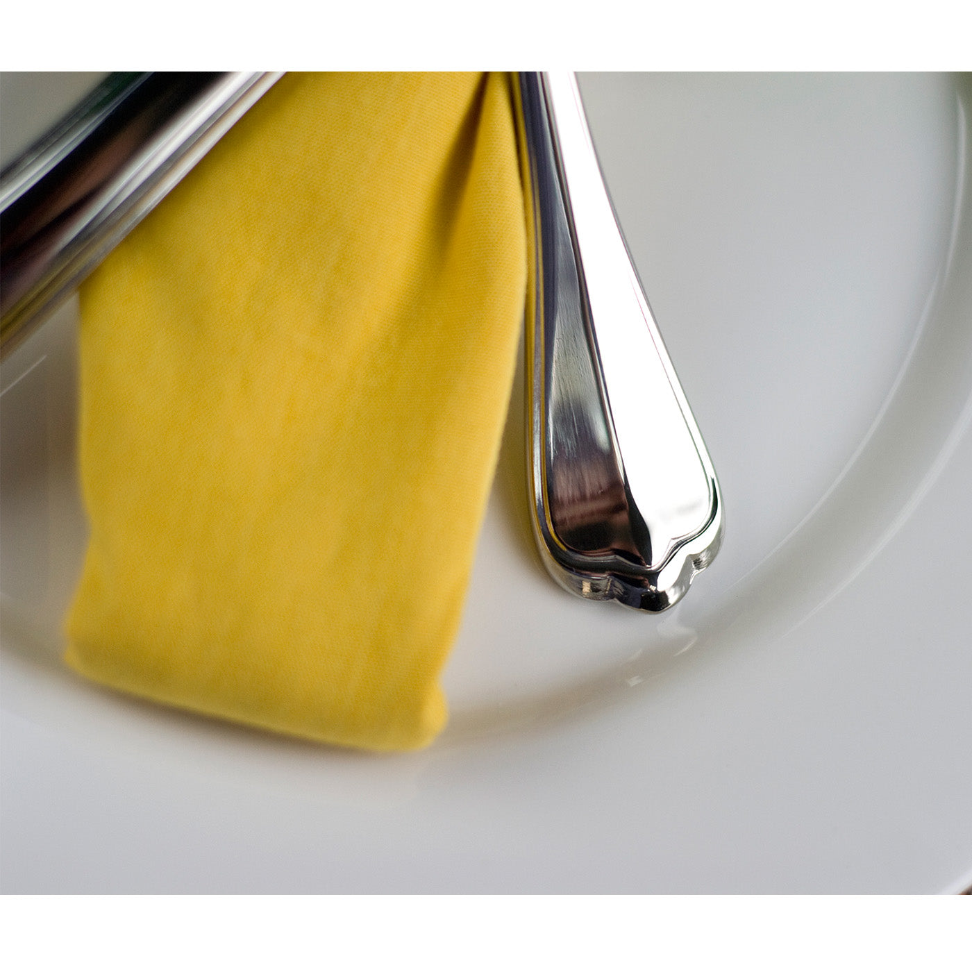 Fortessa San Marco 18/10 Stainless Steel Flatware 5 Piece Place Setting