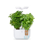 Veritable Exky Classic Indoor Garden, Artic White
