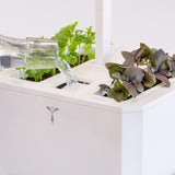 Veritable Exky Classic Indoor Garden, Artic White