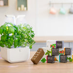 Veritable Exky Classic Indoor Garden, Artic White