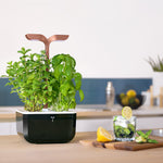 Veritable Exky Smart Indoor Garden, Black Copper